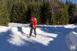 Auf der Rodelbahn bergwärts durch den Wald