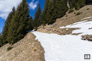 Leicht linkshaltend setzt sich der Aufstieg mittels schmaler Trasse fort