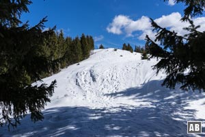 Die Schneise gewinnt das Wildeck...