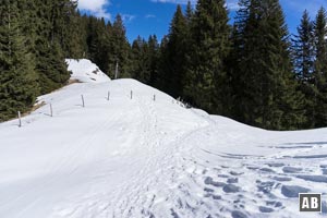 ...manövriert jenseitig wieder in den Forst