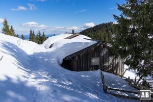 Nach seichten Bergab betreten wir an der Hörnlealm den Hörnle-Rücken