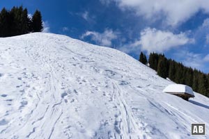 Unmittelbar neben der Hörnlealm erwächst der beachtlich steile Gipfel des Mittleren Hörnle