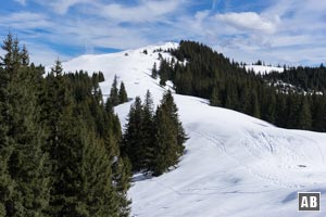 ...zum Gipfelhang des Hinteren Hörnle - dem höchsten Punkt der Schneeschuhtour