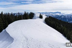 ...und über diesen empor zum kreuzlosen Stierkopf