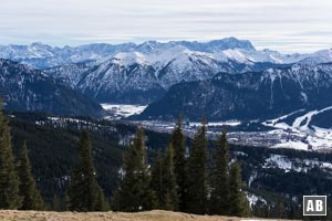 Am Stierkopf haben wir freie Sicht nach Süden - gegen Wetterstein und Zugspitze