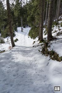 An der Lichtung <q>Drei Marken</q> einer augenscheinlichen Forstwegtrasse gen Südwesten nachlaufen