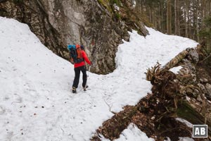 Aufstieg zur Lichtung des Roßbodens