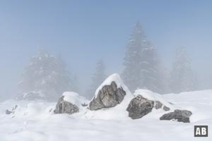 Wenig unterhalb der Vorderkaiserfeldenhütte: Der Himmel wird blau - das obere Ende des Hochnebels ist erreicht.