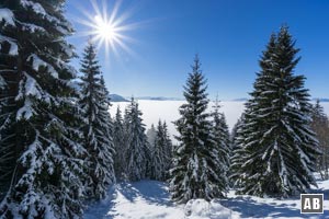 Ein erster Blick zurück auf die Hochnebeldecke