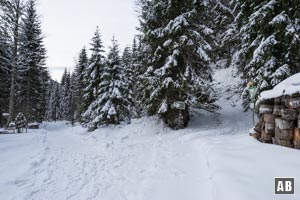 Wir gelangen über den linken Forstweg an ein Haus (links ausserhalb des Bildes) und biegen hier nach rechts (in Gehrichtung links) in den Schützensteig (ausgeschildert) ein