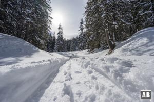 Ohne Spur ist die Route zwischen Ammerwaldsattel und Hirschwängalm nur schwer zu finden. I. d. R. ist aber eine Skitourenspur vorhanden.