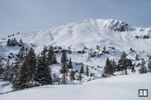 Unser Ziel: Der Ochsenälpeleskopf