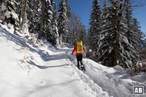 Wir steigen in einer traumhaft schönen Winterlandschaft zunächst hoch bis zur Wildfeldalm