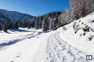 Am Rand der Lichtung fast eben...