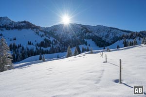 Vom Schuppen südwärts tiefer in die Brachfläche vordringen