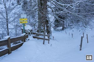 Linkerseits des Anwesens abwärts in den Klammbach-Graben...