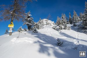 Vom Schildensteinsattel hinab zu diesem Wegweiser - folglich linksseitig abbiegen