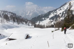 Schneeschuhtour Schneibstein: Im freien Gelände der Königsbergalm. Nur noch wenige Meter bis zum Schneibstein- und dem Stahlhaus.