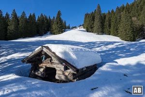 Eine Waldschneise hoch zu diesem Unterstand. Jenseits etwas höher, dann linksseitig in den Wald abdrehen.