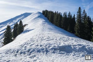 Schneeschuhtour Seekarkreuz: Am Seekarkreuzsattel drehen wir links in den Nordostrücken ein