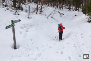 Schneeschuhwanderung Großer Arber: Wir überqueren zweimal eine Forststraße und steigen hoch zur Brennesfichte