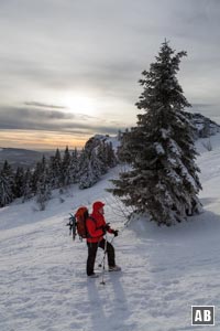 Zwischen Bodenmaiser Riegel und Großer Seeriegel betreten wir das Arber-Gipfelplateau