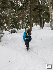 ... und hoch zu einer Lichtung wandern