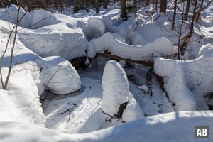 ... und wandern entlang des Bergbaches in einer traumhaften Winterlandschaft bergan