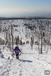 Schneeschuhwanderung Lusen: Im unteren Teil der Himmelsleiter