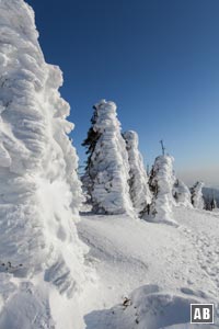 Von der Natur geformte Skulpturen am Lusen-Gipfel