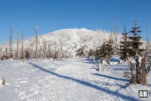 Schneeschuhwanderung Lusen: Von der Gläsernen Arche in einer fast ebenen Geraden zum Sockel der Himmelleiter