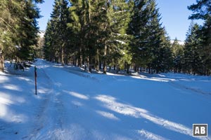 Nach einer Rechtskurve kommen wir zu einer Gabelung. Der Zwercheck-Sommerweg nach rechts ist im Winter für Fußgänger gesperrt. Unser Anstieg setzt sich geradeaus fort.