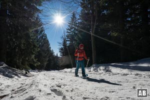 Während eines langgezogenen Linksbogens ignorieren wir die unmarkierten, nach rechts anschließenden Steige.