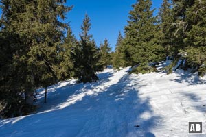 Oben hinein in eine Waldparzelle in der die Route einen Rechtsschwenk vollzieht