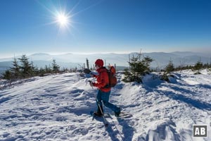 In der aussichtsreichen Querung wenige Meter unterhalb des Bergrückens. Im Hintergrund der Große Arber und der Bergkamm bis zum Kaitersberg.