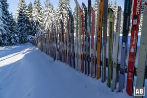 In Brennes fahren wir neben diesem Skizaun hinab in den Wald.