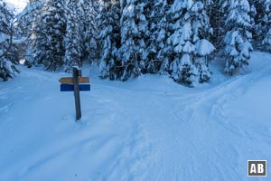 Wir ziehen unsere Spur hinauf zu dieser vierastigen Weggabelung. Dort linksschwenkend den Forstweg aufwärts.