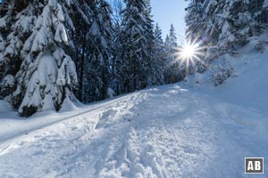 Skitour Großer Arber: Lang anhaltend und in gleichmäßiger Steigung nach oben. Eine erste Kehre, ein 180-Grad-Bogen und eine zweite Kehre sorgen für etwas Abwechslung.