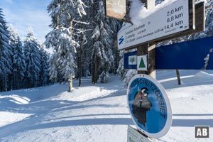 Etwa 150 m nach der zweiten Kehre fädeln wir linkerhand (rechts auf dem Bild) in einem schmalen Steig ein.