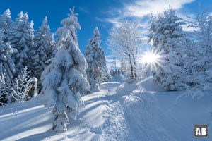 Skitour Großer Arber: Aufstieg in einer traumhaft schönen Winterlandschaft zur Chamer Hütte.