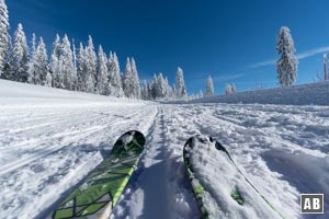 Skitour Großer Arber: Vertikal immer höher und über eine Serpentine hinweg in traumhafter Kulisse.