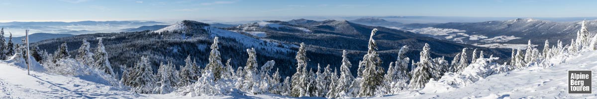 Skitour Großer Arber: Aussicht auf den Bayerischen Wald - kurz vor erreichen des Arber-Gipfelplateaus.