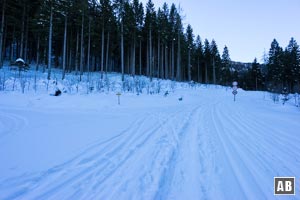 An dieser großen Wegkreuzung folgen wir nicht dem Wegweiser <q>Kehlstein</q> nach links, sondern gehen geradeaus, den Verbotsschildern folgend, weiter.