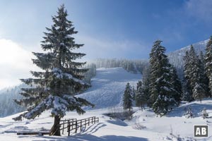 Skitour Wank: Die ehemalige Skipiste (Bildmitte) über die wir nach oben <q>gleiten</q>