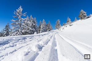 Skitour Wank: Zuletzt gleiten wir in mäßiger Steigung hoch zum Wank-Haus und dem Gipfel