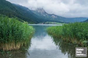 Am Westufer beginnt die Wanderung zum Adlerhorst und um den Haldensee