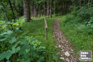 Nach der Talstation der Materialseilbahn beginnt der steilere Abkürzungsweg hinauf zum Adlerhorst