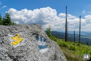 Die einfach Rundwanderung ist mit blau-weißer Markierung und dem Goldsteig-Logo gekennzeichnet