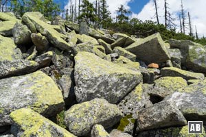 Impressionen aus dem Steinernen Meer