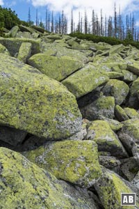 Impressionen aus dem Steinernen Meer